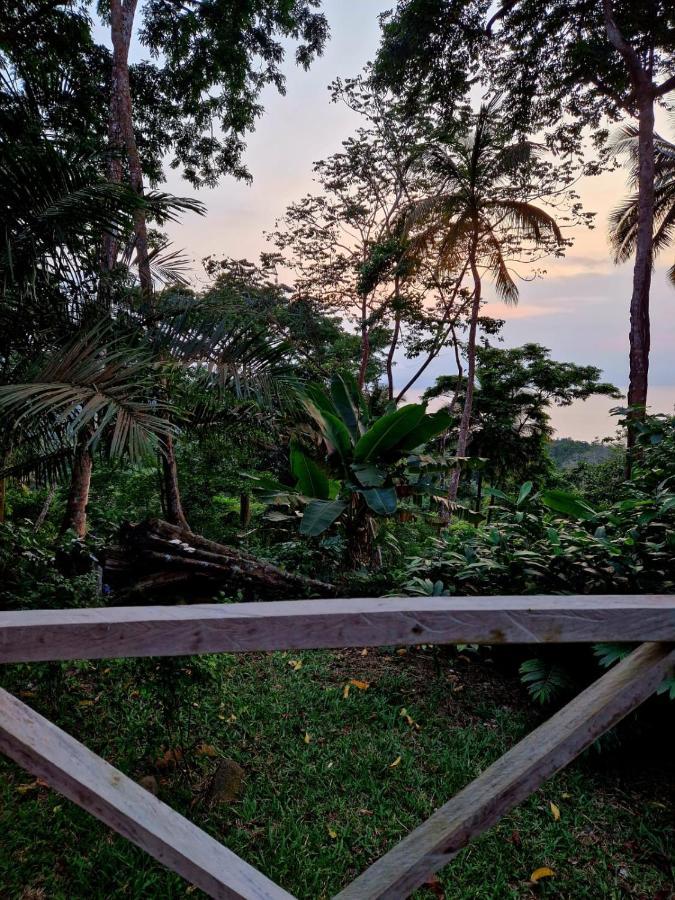 World'S View Wild Camping Salaszoi, Principe Island Santo Antonio Экстерьер фото