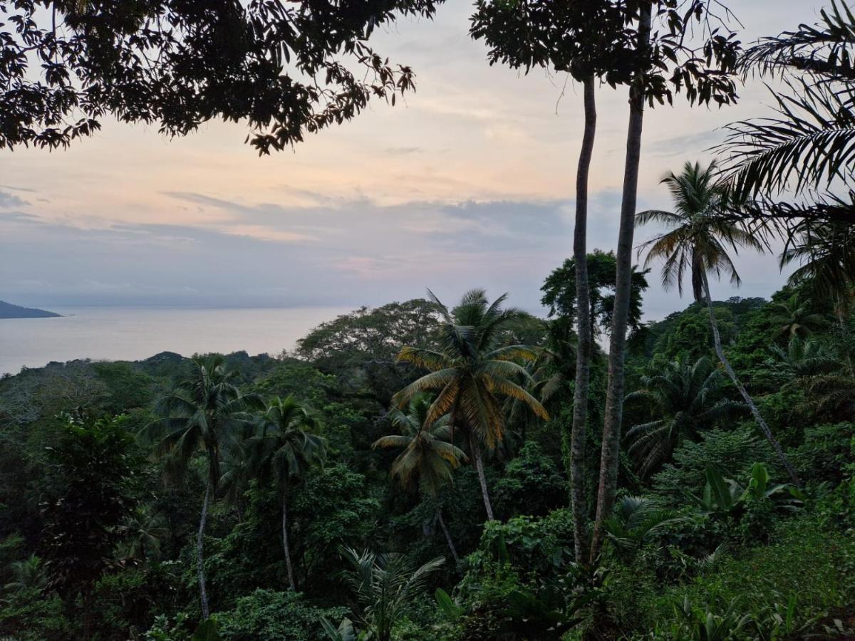 World'S View Wild Camping Salaszoi, Principe Island Santo Antonio Экстерьер фото